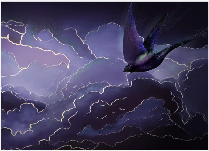 A kingdom of Clouds Bird in Sky Hope